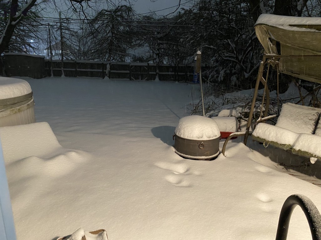 Backyard cover in new fallen snow. one and half feet of snow.
