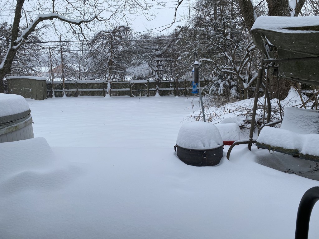 Backyard cover in new fallen snow. Two feet of snow.
